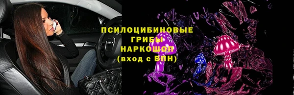 стафф Осташков