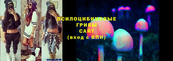 стафф Осташков