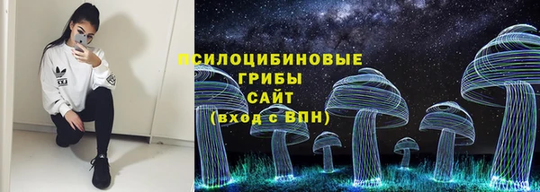 ПСИЛОЦИБИНОВЫЕ ГРИБЫ Остров