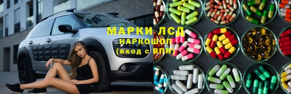 стафф Осташков