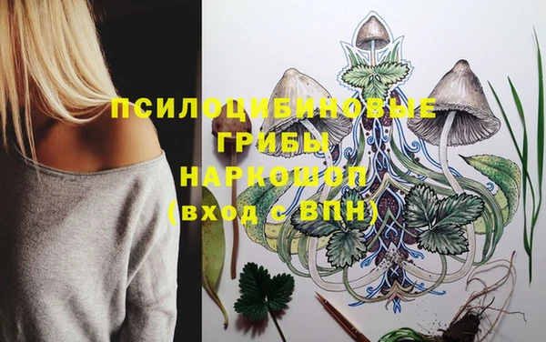 стафф Осташков