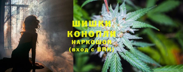 стафф Осташков