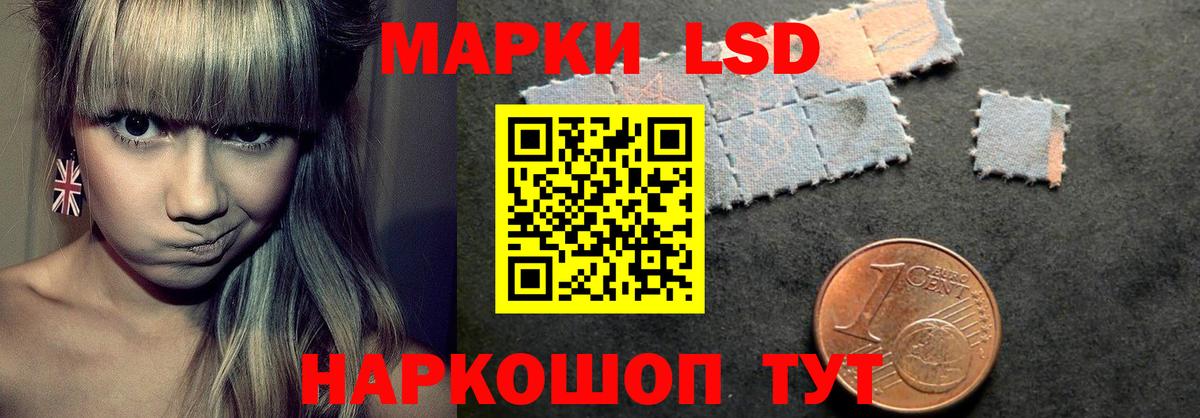 COCAIN Сертолово