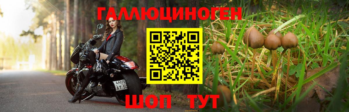 Галлюциногенные грибы прущие грибы Сертолово