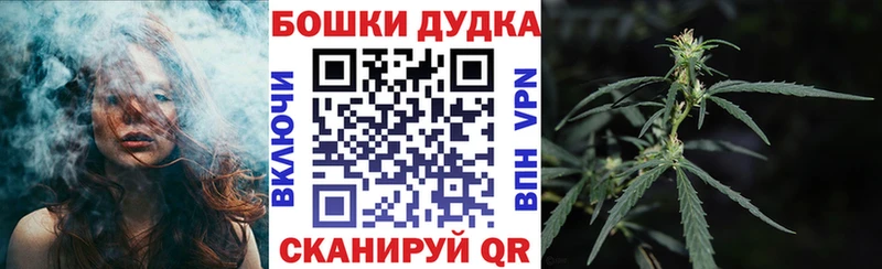 Конопля план  Сертолово 